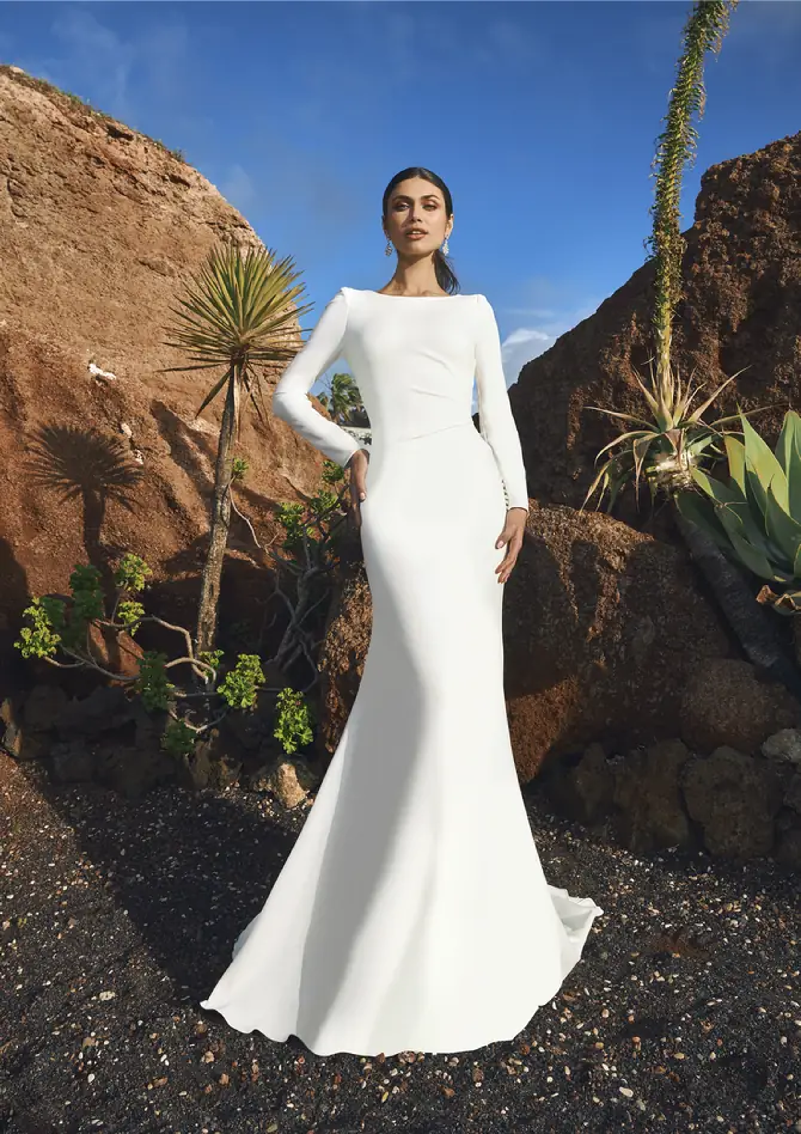 Long-Sleeved Bridal Gowns Image