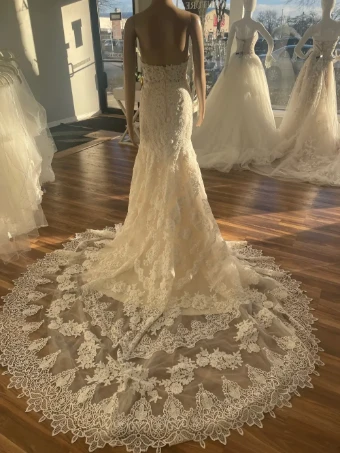 Pronovias Desi #6 thumbnail