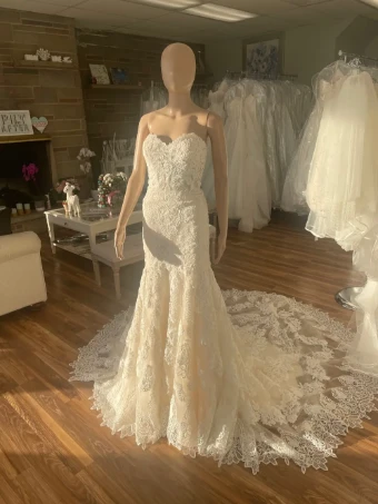 Pronovias Desi #7 thumbnail