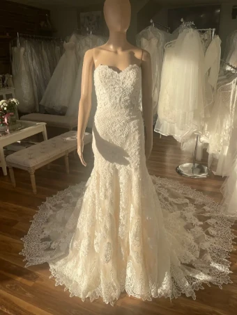 Pronovias Desi #5 thumbnail