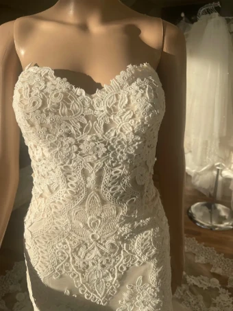 Pronovias Desi #4 thumbnail