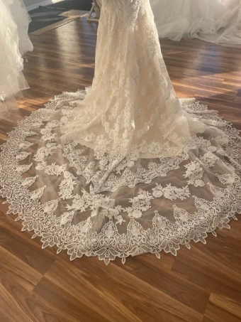 Pronovias Desi #2 thumbnail