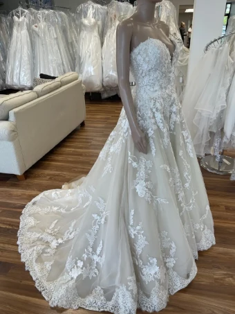 Pronovias Elcira #8 thumbnail